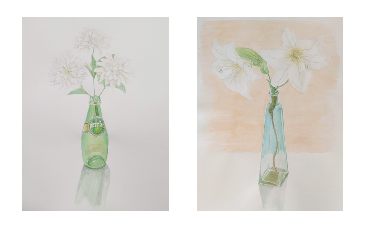akvarel tegning af flasker med hvide blomster